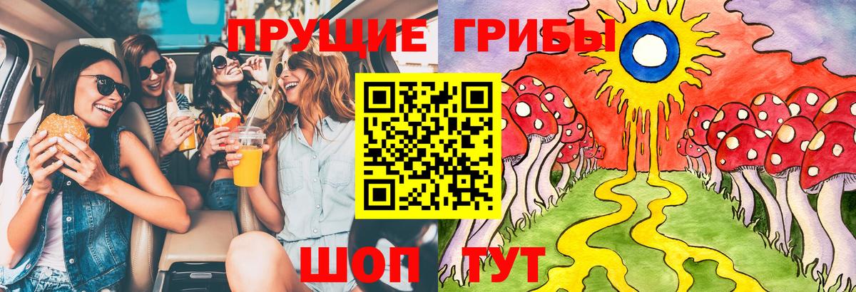 Галлюциногенные грибы Magic Shrooms Новозыбков